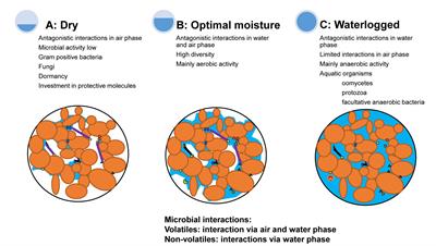 Strategies to Maintain Natural Biocontrol of Soil-Borne Crop Diseases During Severe Drought and Rainfall Events